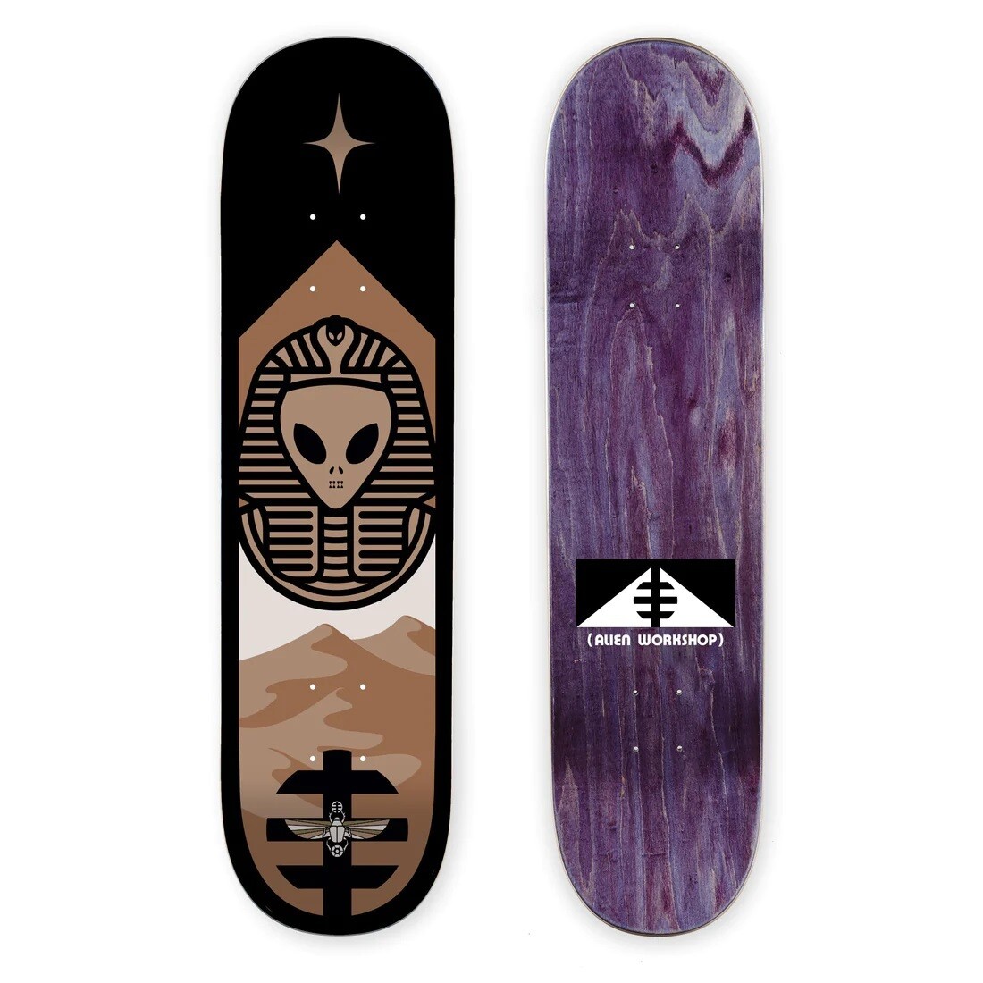Theurgy Black 8.125&quot;
