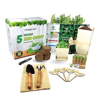 kits plantas y semillas