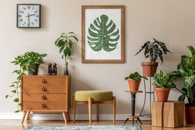 Muebles
