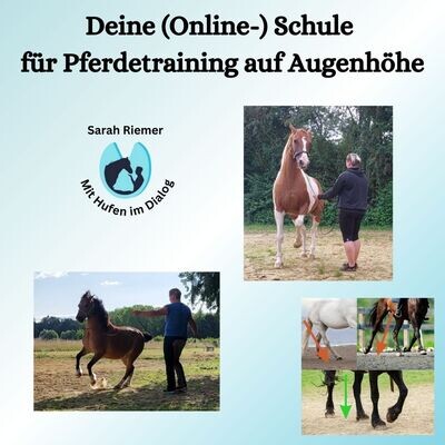 Online-Schule für Pferdetraining auf Augenhöhe