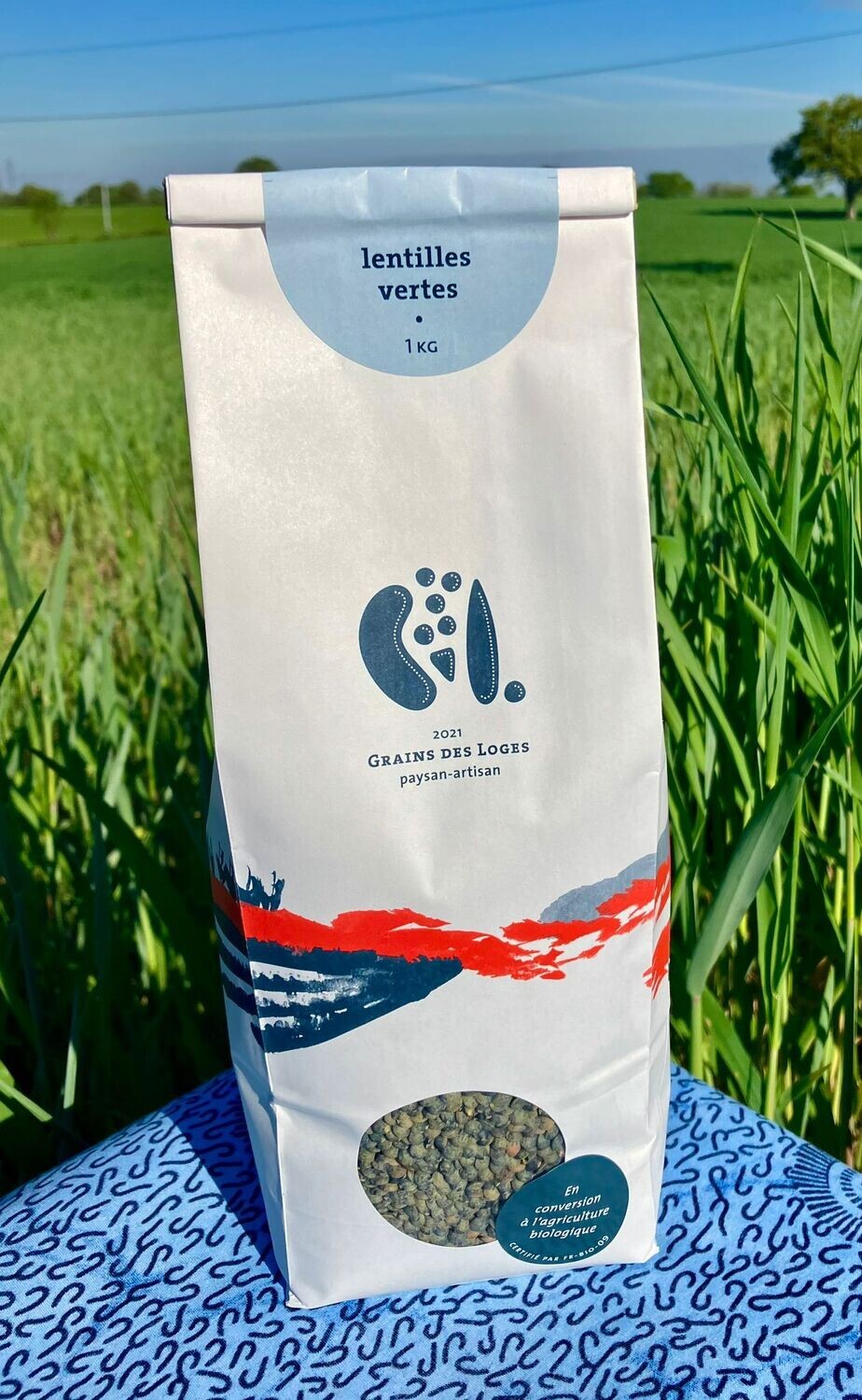 Lentille Verte 1 KG