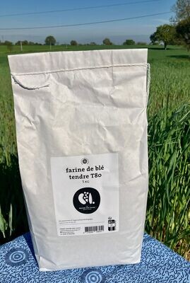 Farine T80 5 KG