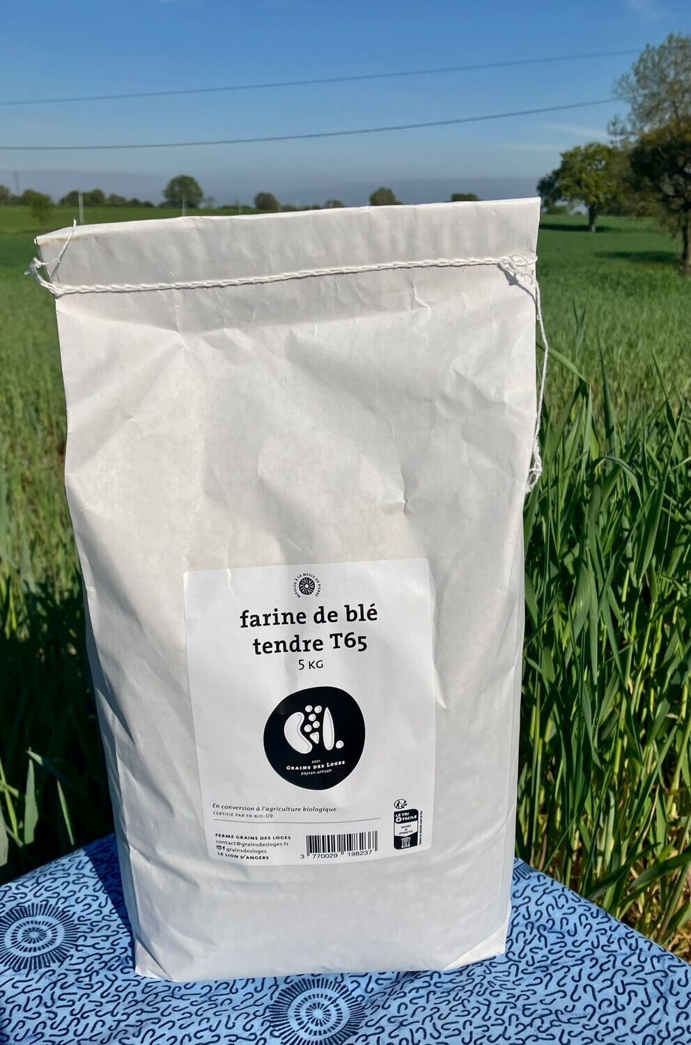 Farine T65 5 KG