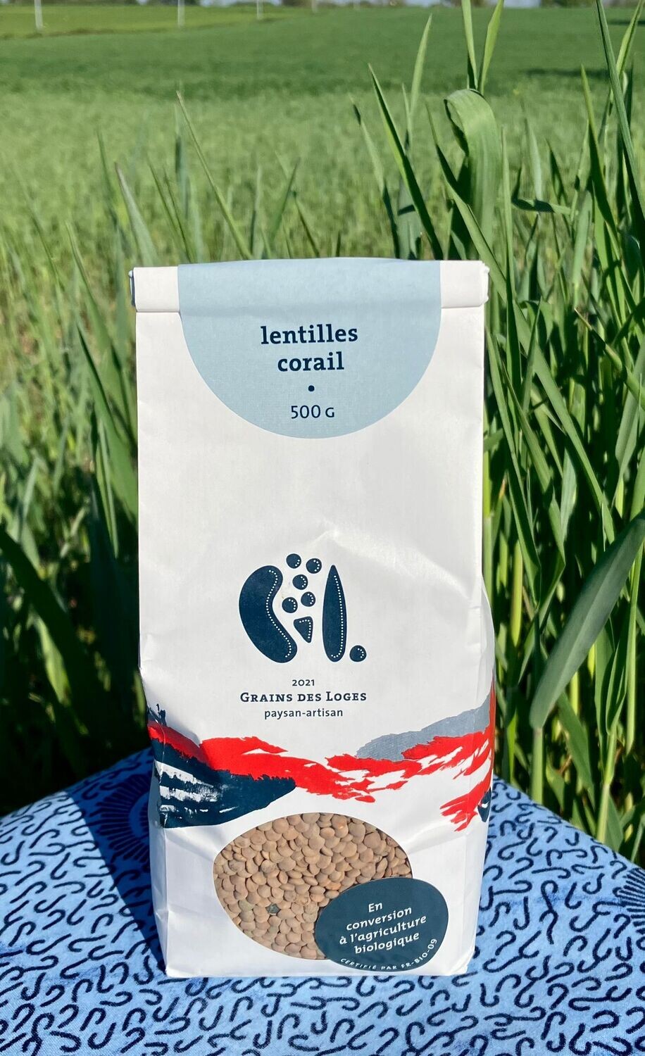 Lentille Corail 500 G
