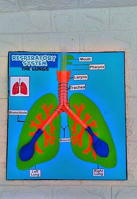 SCHOOL PROJECTS SCHOOL PROJECTS