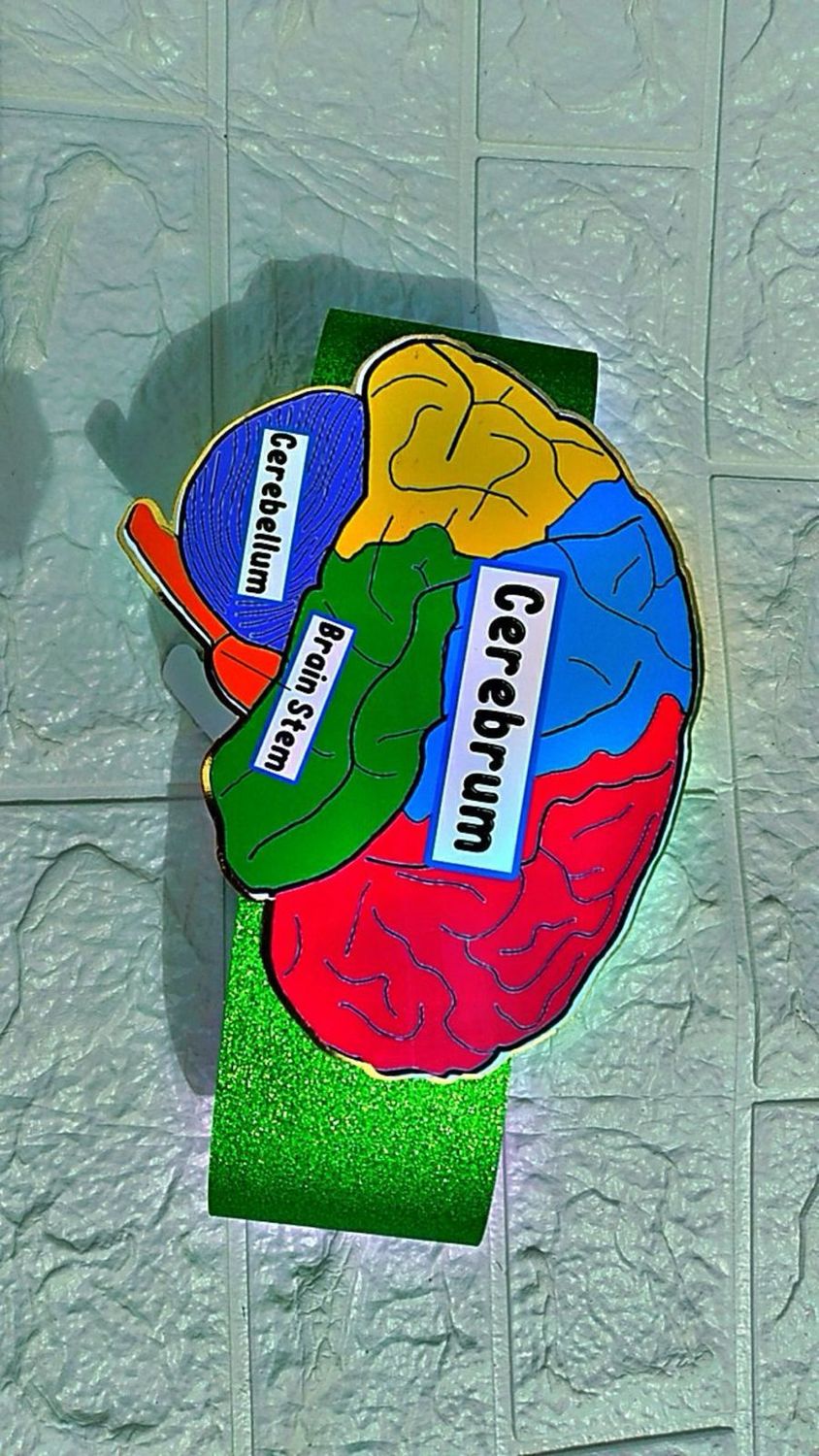 SCHOOL PROJECTS