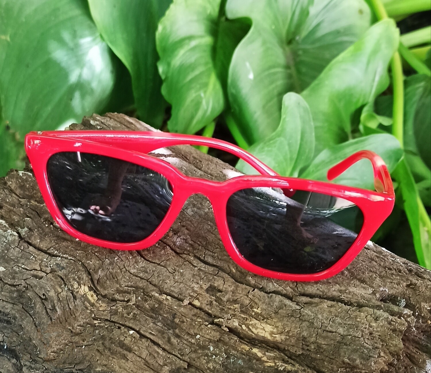 Anteojos de sol vans new arrivals