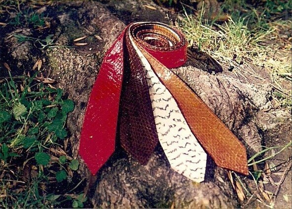 Snakeskin Ties