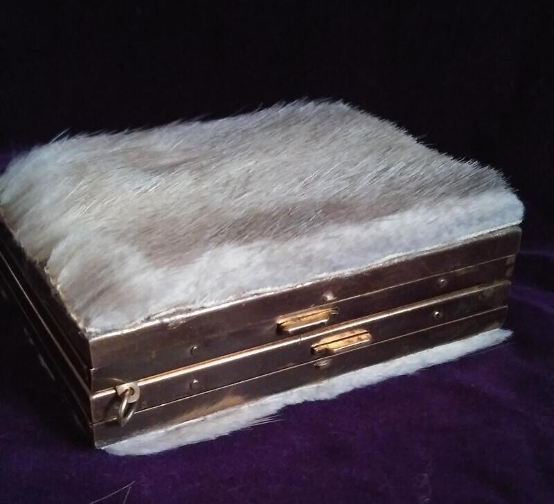 Vintage Make-Up Case (Mink)