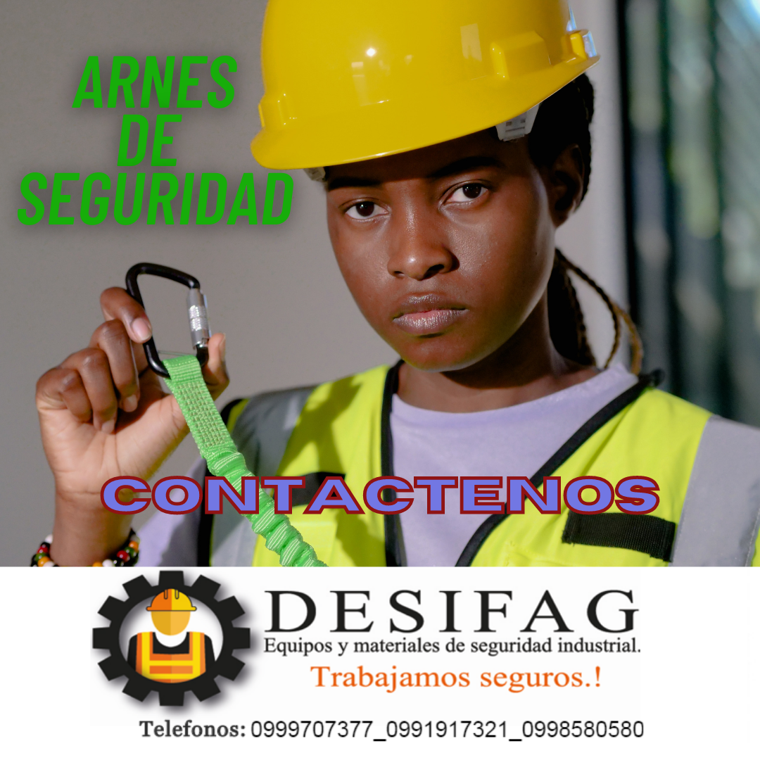 Arnes de Seguridad de 3 puntos