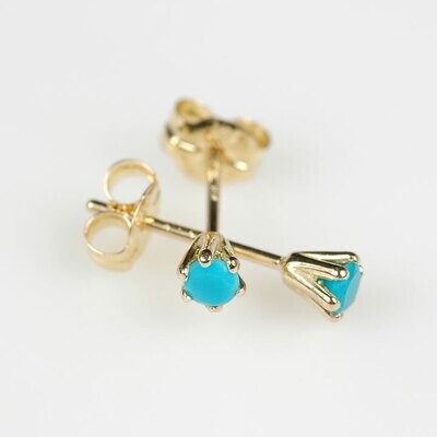 プリンセス・ピアス［12月：ターコイズ］