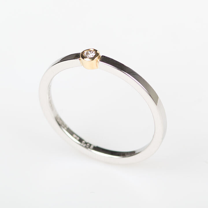 ニュー・TTD ・リング［プラチナ］