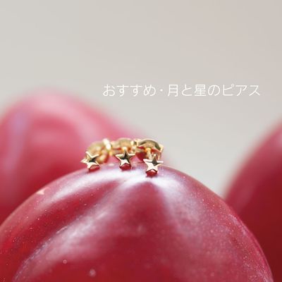 おすすめ・月と星のピアス
