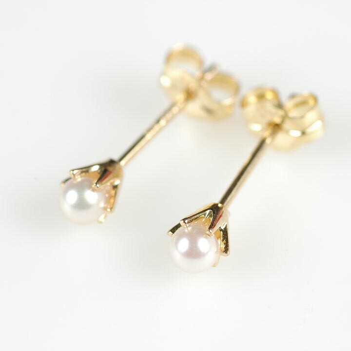 プリンセス・パール・ピアス
