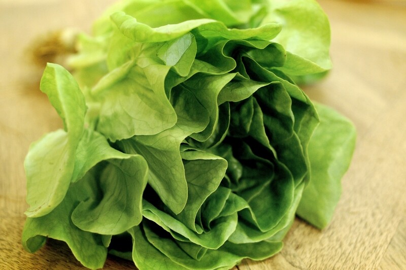 綠牛油生菜