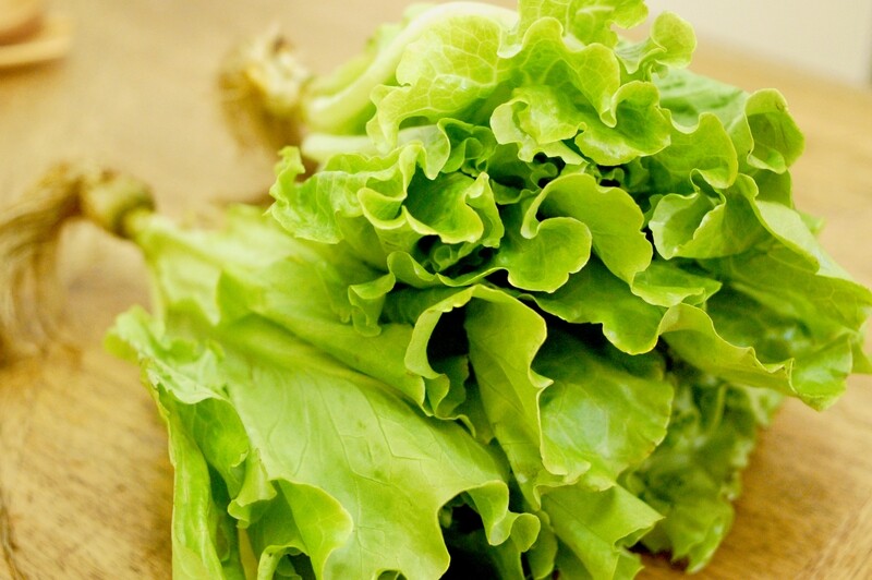 生菜