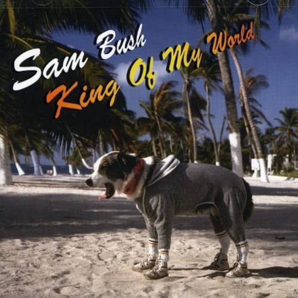 Sam Bush - King of my World