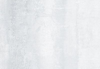 ARC BIANCO LAPPATO 24 x 24