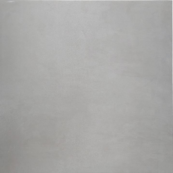 ASTER PEARL 24 x 24