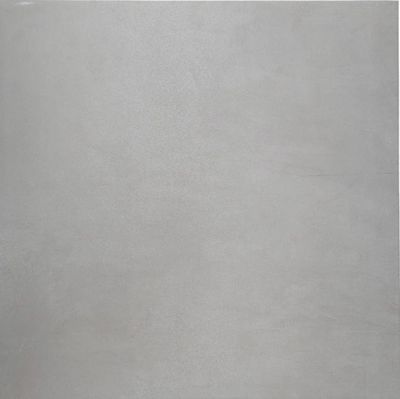ASTER PEARL 24 x 24