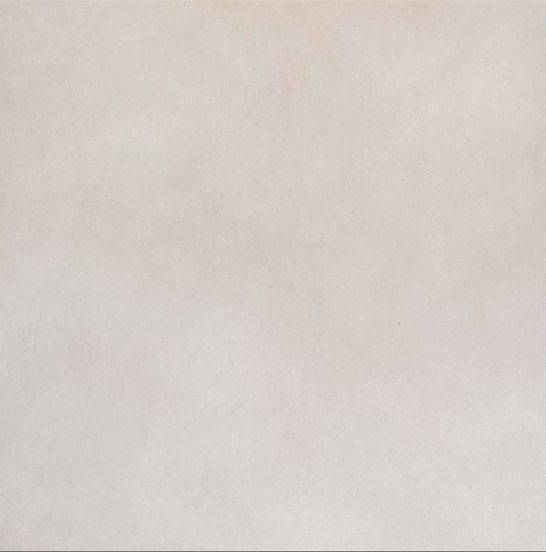 EVOLUTION BEIGE NAT. 24 x 24