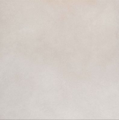 EVOLUTION BEIGE NAT. 24 x 24