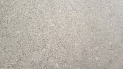 COSMIC BONE 12x24