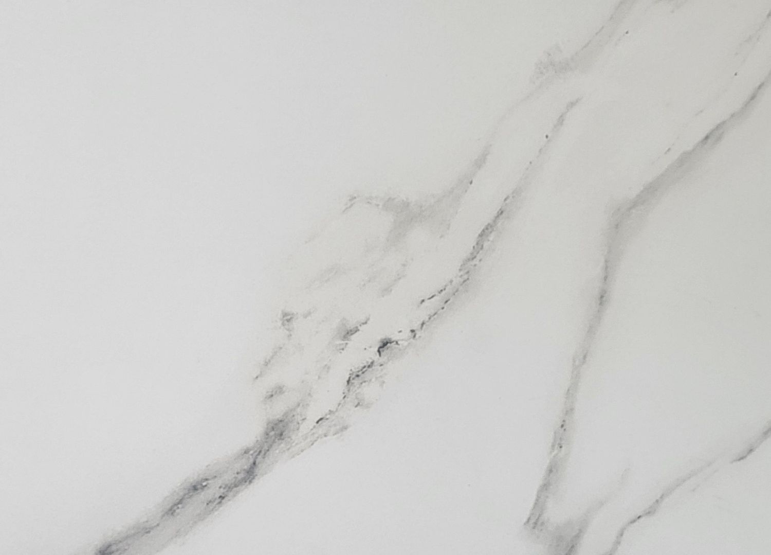 CALACATTA TWIN 12 x 24