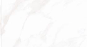 SILICA CALACATTA POLIE 12 x 24