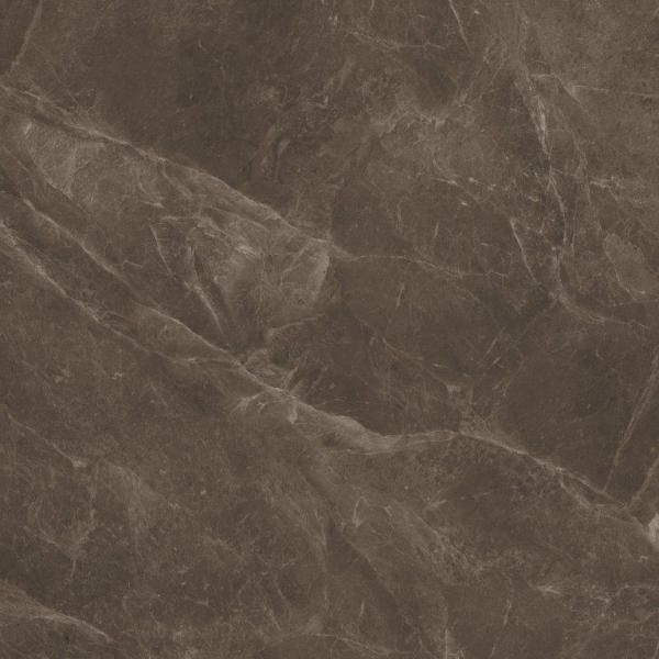 KITTY BROWN POLIE 24x24 KITTY BROWN POLIE 24x24