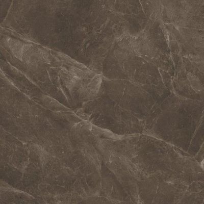 KITTY BROWN POLIE 24x24