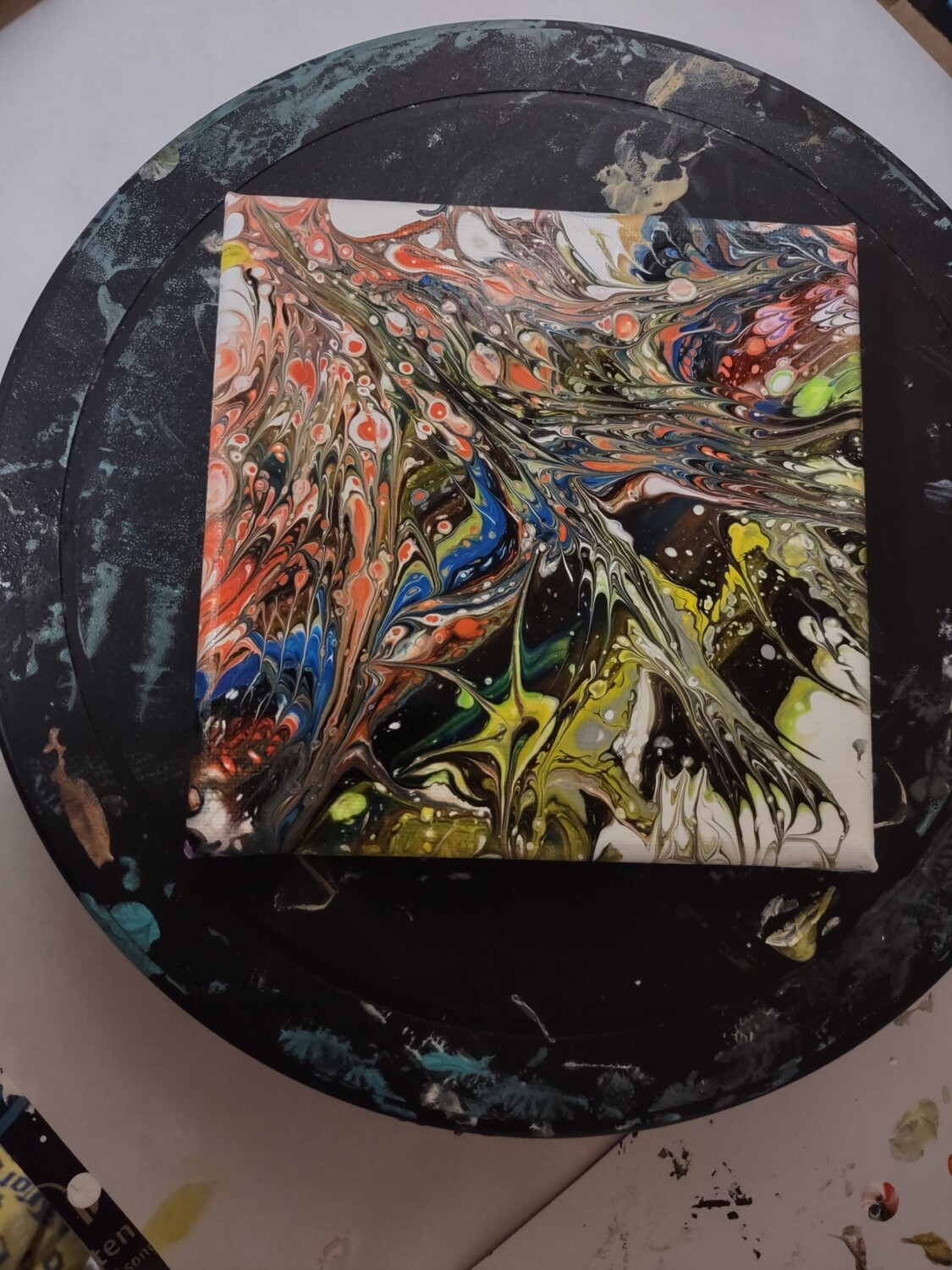 6x6 Flying Bird on canvas
