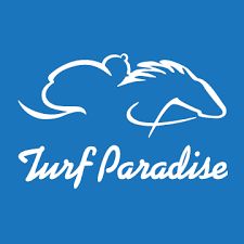 Turf Paradise Stakes Day Pick Sheet 4/25