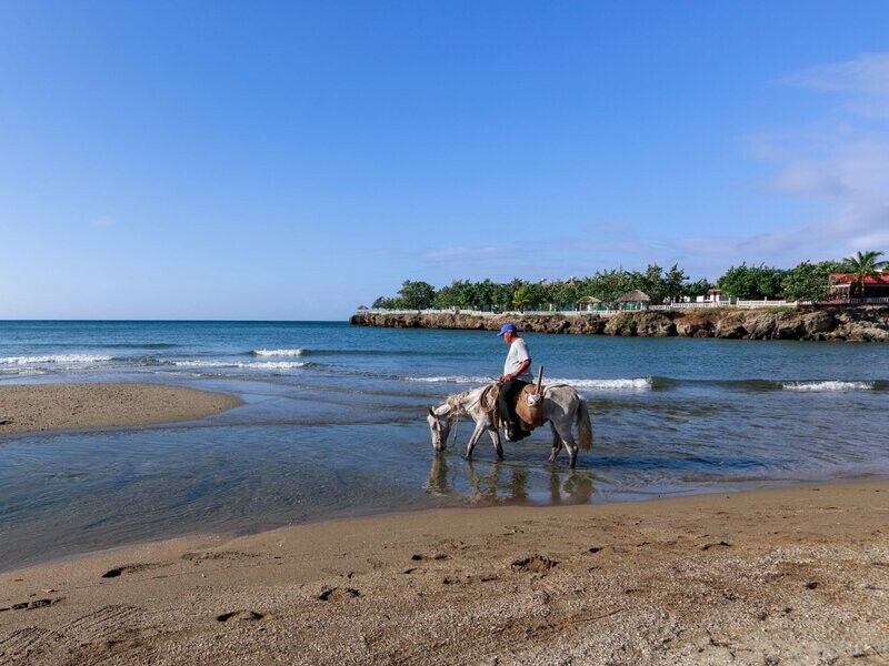 Horseback Riding