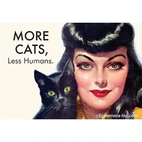 More Cats Less Humans Magnet