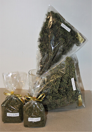 Oregano