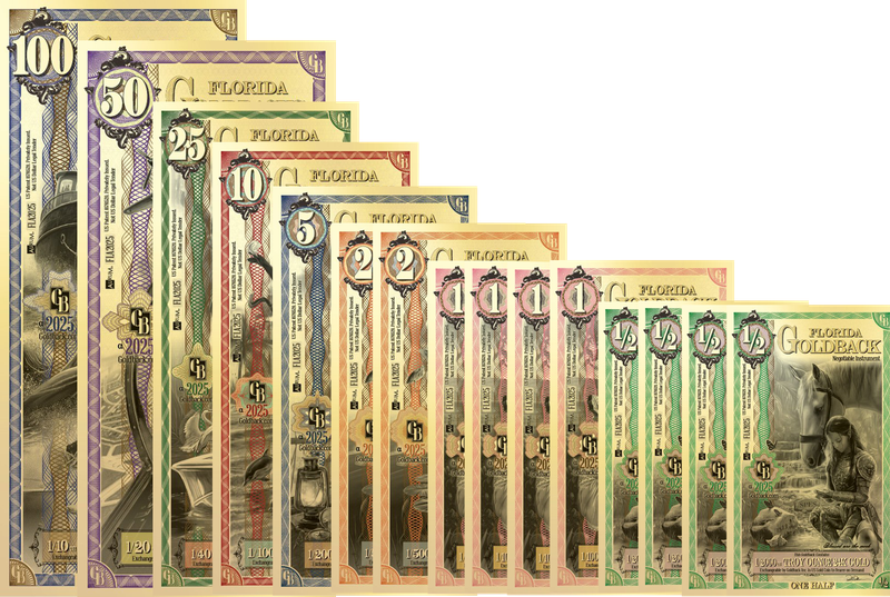 Florida $200 Goldback Bundle