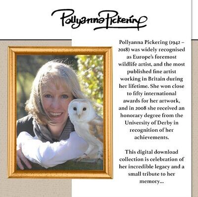 Pollyanna Pickering