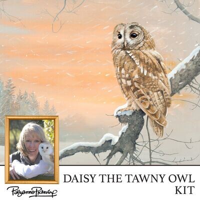 Pollyanna Pickering's Daisy the Tawny Owl Digital Kit
