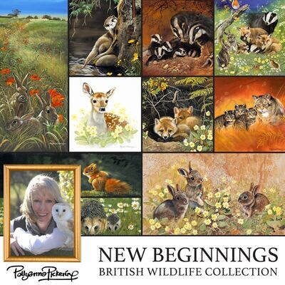 Pollyanna Pickering's New Beginnings British Wildlife Digital Collection