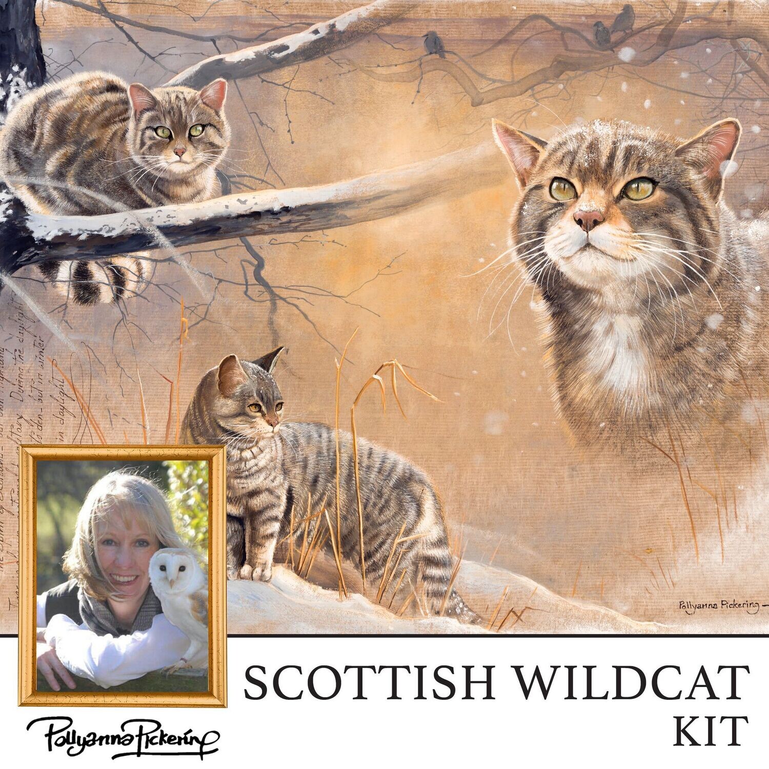 Pollyanna Pickering's Scottish Wildcat Digital Kit