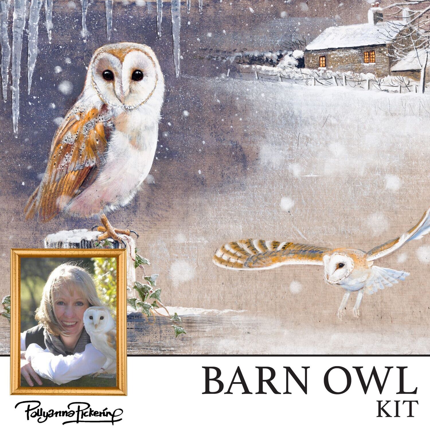 Pollyanna Pickering's Barn Owl Digital Kit