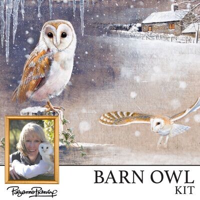Pollyanna Pickering's Barn Owl Digital Kit