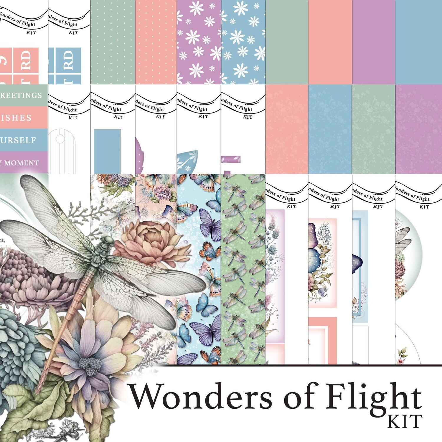 Wonders of Flight Digital Kit