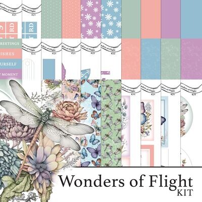 Wonders of Flight Digital Kit