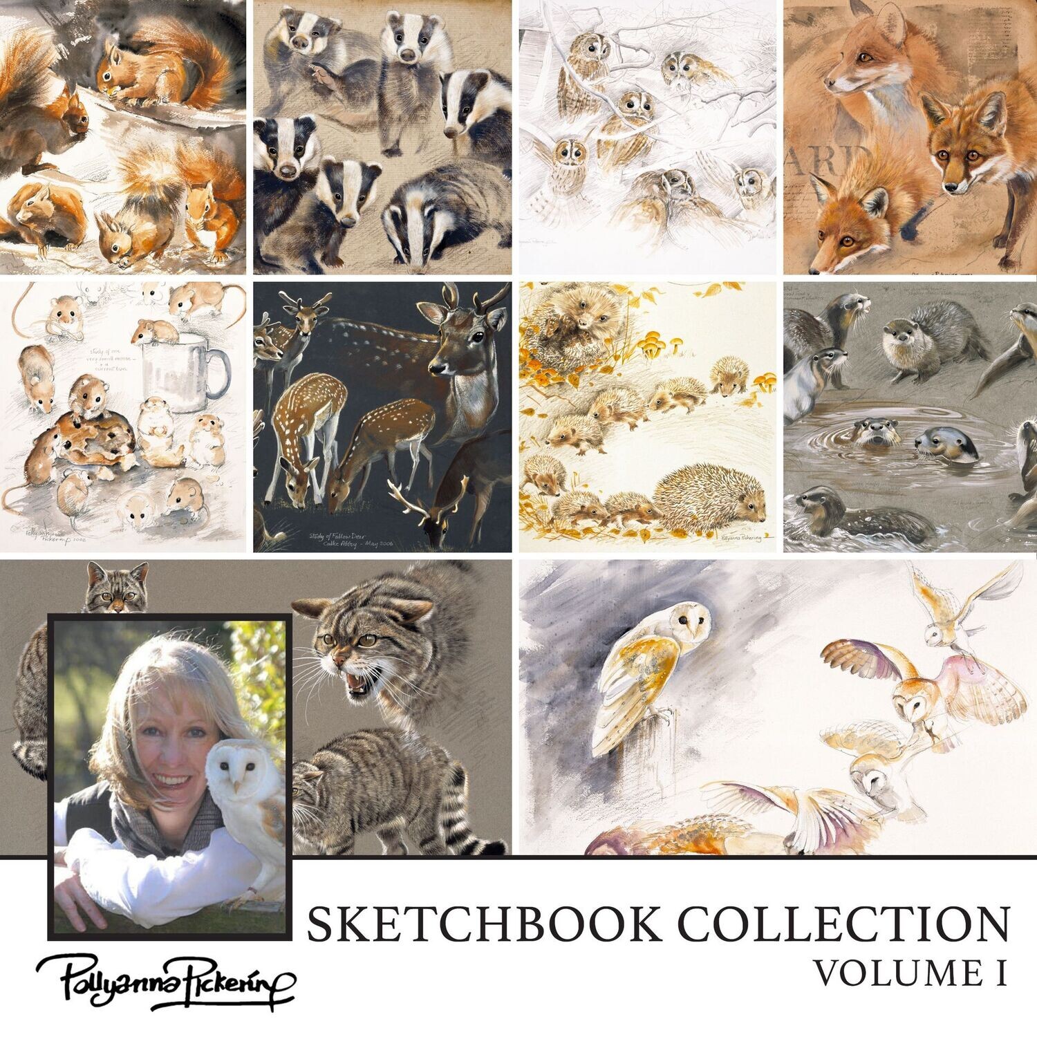 Pollyanna Pickering's Sketch Book Collection Vol I British Wildlife Digital Collection