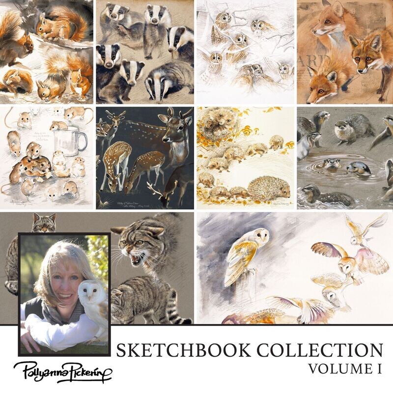Pollyanna Pickering's Sketch Book Collection Vol  I  British Wildlife Digital Collection