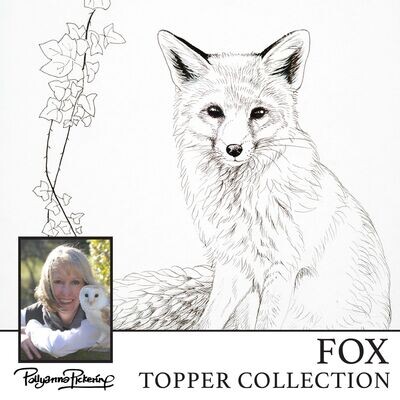 Pollyanna Pickering's Fox Topper Digital Collection