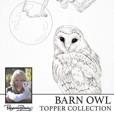 Pollyanna Pickering's Barn Owl Topper Digital Collection