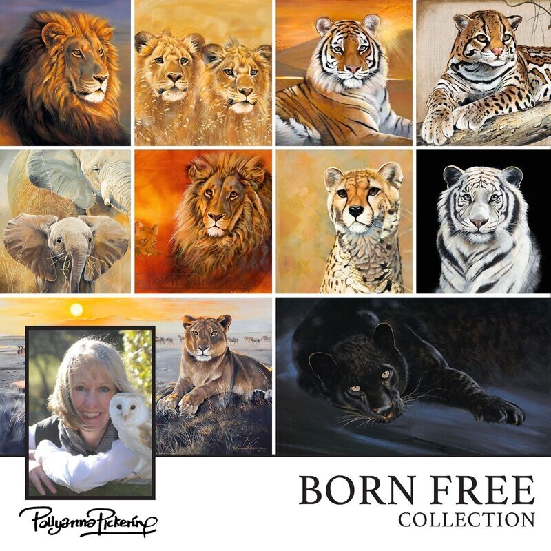 Pollyanna Pickering's Born Free Digital Collection